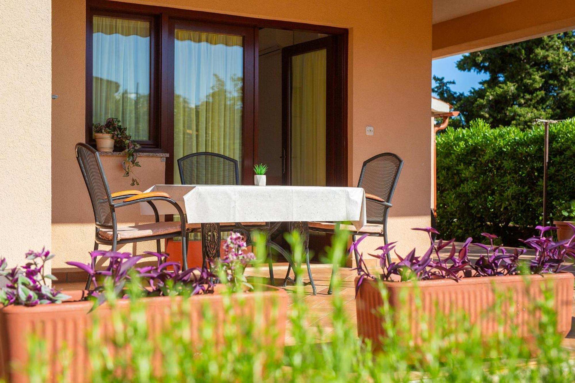 Apartamento Sokolovski *